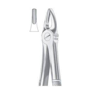 Extracting Forceps Fig.2